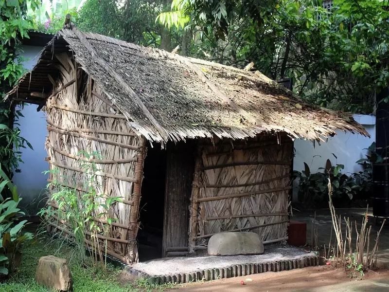 AnyConv.com__musee-ethnographique